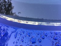 IMG_6365.JPG