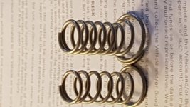 brake light springs 1.jpg brake light springs 1.jpg