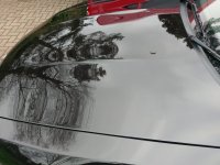 IMAG2099.jpg