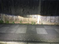 D417E454-D5E3-4C4D-9D41-A014F26DC5CF.jpeg