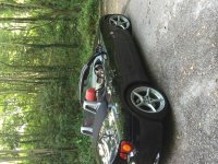 IMG_9298.JPG