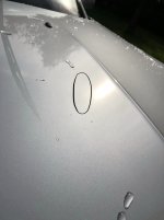 3E66182F-297F-4DA0-83AF-2F54D74592E5.jpeg