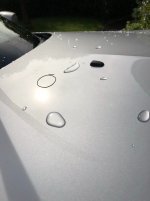 18ACA927-FEF6-4378-BB2F-43E9FCD54A47.jpeg