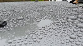 20180509_100716_Richtone(HDR).jpg