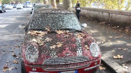 MiniCrap.jpg MiniCrap.jpg