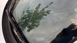20180520_193728.jpg