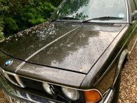 IMG_1067.jpg IMG_1067.jpg
