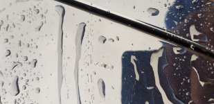 20180525_160521.jpg