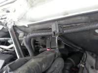 20180612_182857.jpg