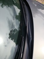 IMG_20180615_173018959.jpg