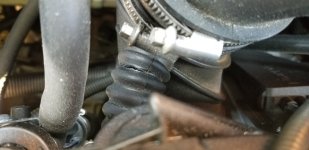 20180616_090957.jpg