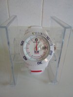 ICE Watch 180618.jpg