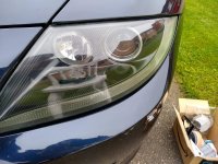 Cleaned Headlight.jpg