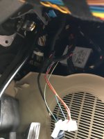 IMG_0335.jpeg