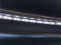 IMG_3429.JPG