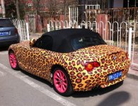 LeopardZ4.jpg
