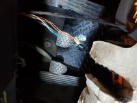 20180715_130002.jpg