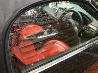 IMG_0171.jpeg IMG_0171.jpeg
