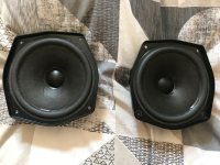 IMG_0194.jpeg