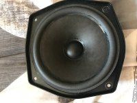 IMG_0195.jpeg