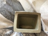 IMG_0211.jpeg
