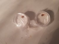 20180918_200814.jpg