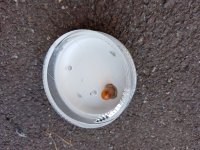 20180926_132746.jpg
