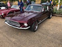 Mustang 090918.jpg