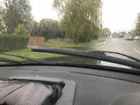 IMG_0330.jpeg