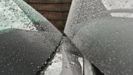 20161209_130652_zps0lvhns5t.jpeg 20161209_130652_zps0lvhns5t.jpeg