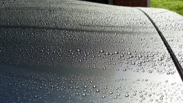 20181101_095441.jpg