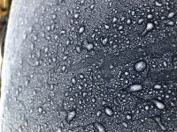 67808E2C-F988-4D80-8E67-AC396F890AA9.jpeg