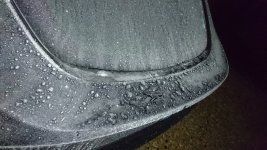 DSC_2456.JPG
