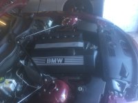 791716EE-24D4-4974-B0E9-CA5D126ED8DA.jpeg