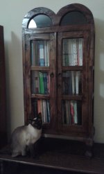book case 2.jpg