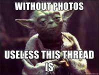 yoda.JPG
