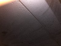 CAE1AF6A-E6E9-4241-B869-5F6FAADF2091.jpeg