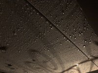 1989EC1E-3E79-4A97-A8D0-0146805D82BC.jpeg