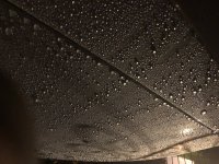 E56FE603-53E5-422D-882F-B496CCBFC2C6.jpeg