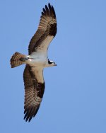 7CDBB7D0-6CE7-44CC-B024-8A6BC339C279.jpeg