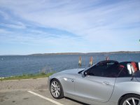 z4tint02.jpg