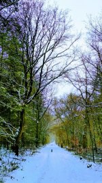 IMG_20190125_115922-EFFECTS-EFFECTS.jpg IMG_20190125_115922-EFFECTS-EFFECTS.jpg