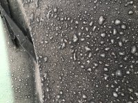 4C7A451D-C061-4806-9B46-CF1591D10990.jpeg