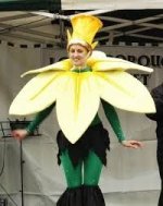 daff.jpg