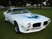 transam.jpg