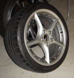 DSC00162.JPG