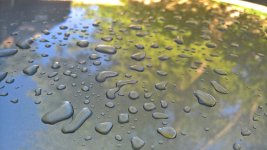 Z4-wax.jpg