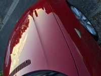 IMG_8825.JPG