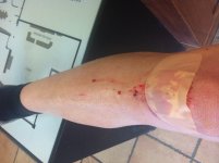 IMG_1734.jpeg
