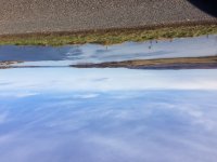 A47C1B54-827C-40AE-9872-04B1097E9718.jpeg